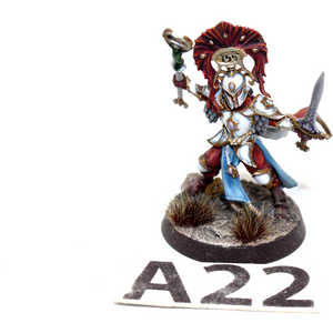 Warhammer High Elves Light of Eltharion Well Painted - A22 - Tistaminis