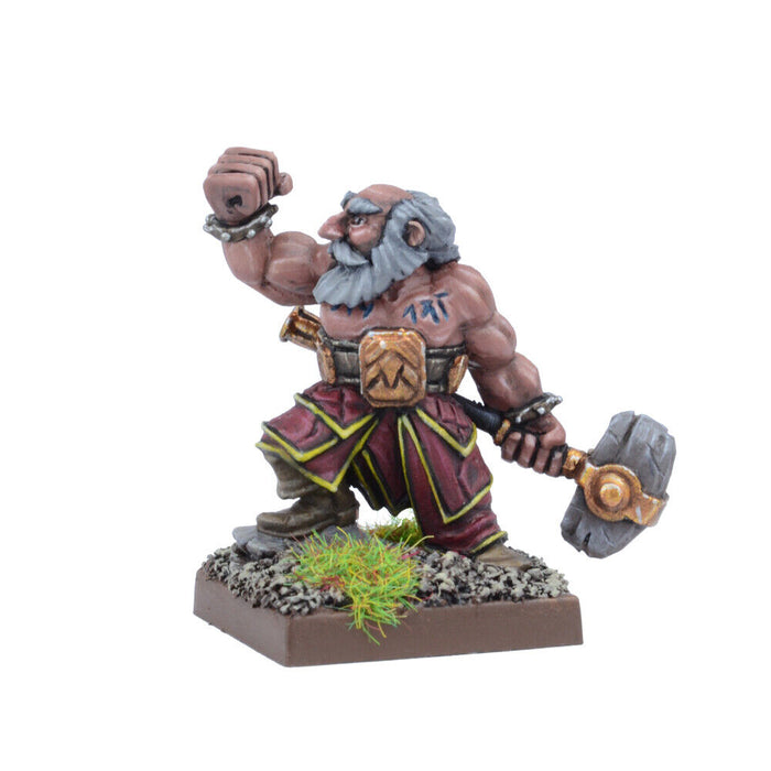 Kings of War Dwarves Stone Priest New - Tistaminis