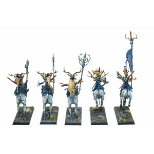 Warhammer Wood Elves Sisters Of The Throne Well Painted - TISTA MINIS