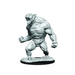 Critical Role Unpainted Miniatures Wave 1: Aeorian Reverser New - Tistaminis