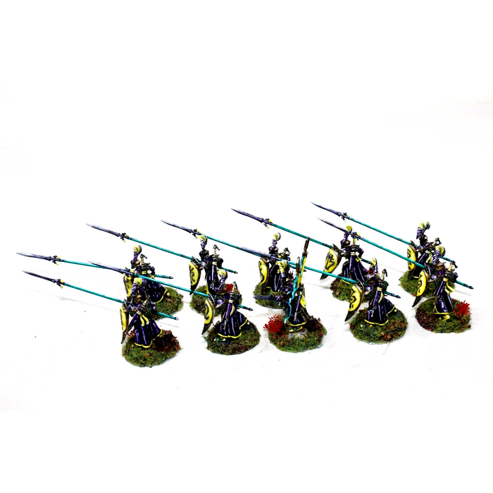 Warhammer High Elves Auralan Wardens Well Painted - JYS52 - Tistaminis