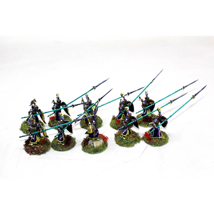 Warhammer High Elves Auralan Wardens Well Painted - JYS52 - Tistaminis