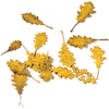 AK Interactive Oak Autumn 1/35 Scenic Basing Dry Leaves New - TISTA MINIS