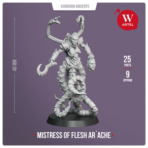 Artel Miniatures - Mistress of Flesh Ar`ache New - TISTA MINIS