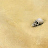 AK Interactive Terrains Desert Sand - 250ml New - TISTA MINIS