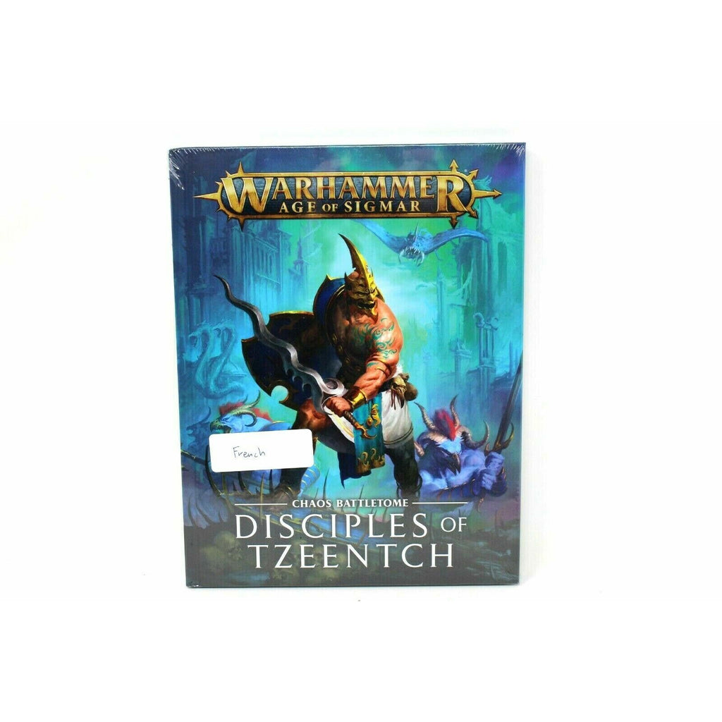 Warhammer Warriors Of Chaos Disciples Of Tzeentch Battletome New French - TISTA MINIS