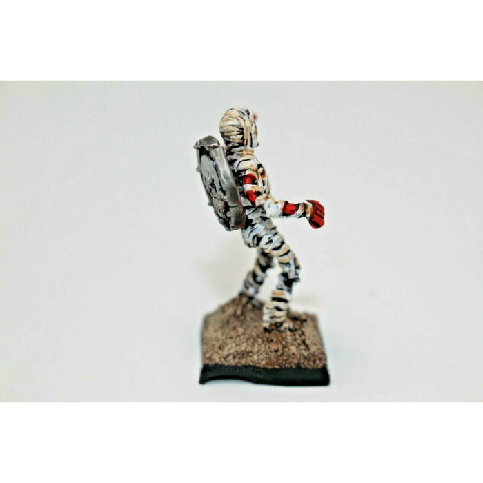 Warhammer Tomb Kings Custom Mummy Well Painted | TISTAMINIS