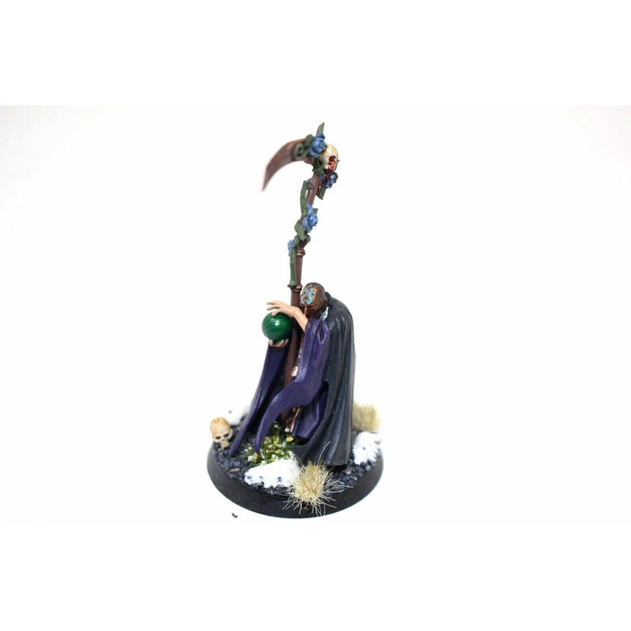 Warhammer Empire Mage Well Painted - Blue1 - Tistaminis