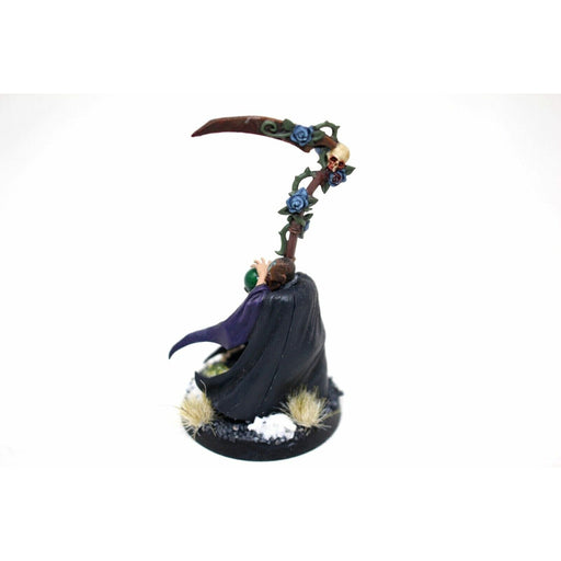 Warhammer Empire Mage Well Painted - Blue1 - Tistaminis