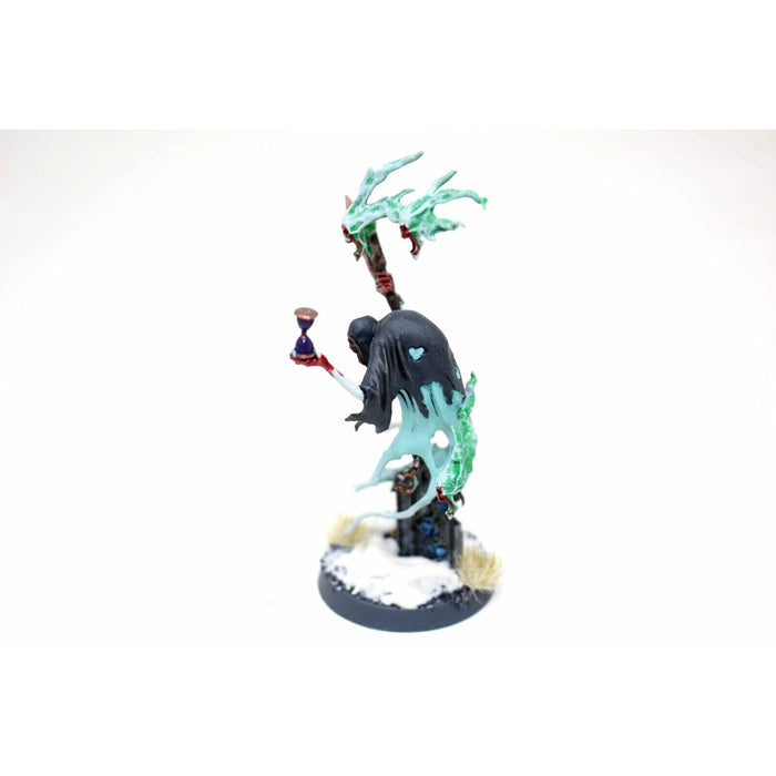 Warhammer Vampire Counts Liekoron the Executioner Well Painted - Blue1 - Tistaminis