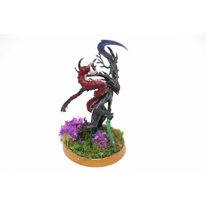 Warhammer Wood Elves Branchwych Well Painted - JYS30 - Tistaminis