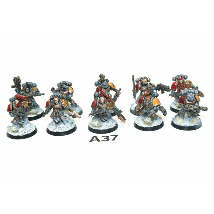 Warhammer Space Marines Space Wolves Grey Hunters - A37 - TISTA MINIS