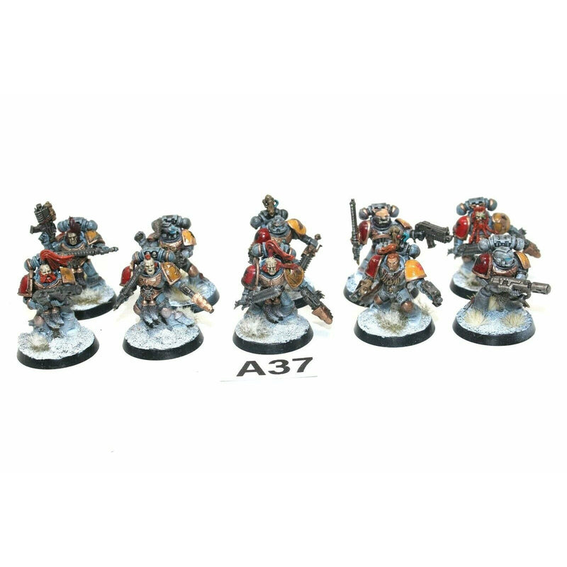 Warhammer Space Marines Space Wolves Grey Hunters - A37 - TISTA MINIS