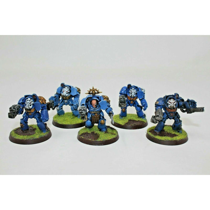 Warhammer Space Marines Terminators Well Painted - JYS95 | TISTAMINIS