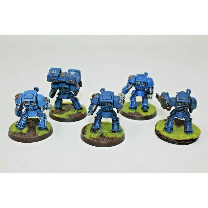 Warhammer Space Marines Terminators Well Painted - JYS95 | TISTAMINIS