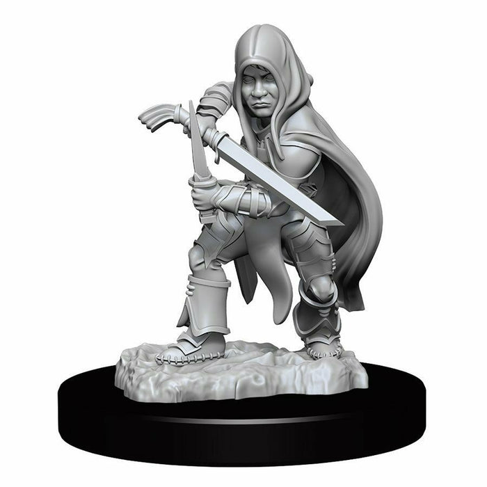 D&D Nolzur's Marvelous Unpainted Miniatures: Wave 13: Halfling Rogue Male New - TISTA MINIS