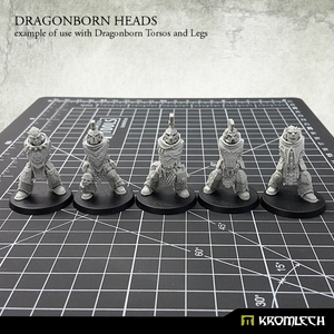 Kromlech Dragonborn Heads (10) New - TISTA MINIS