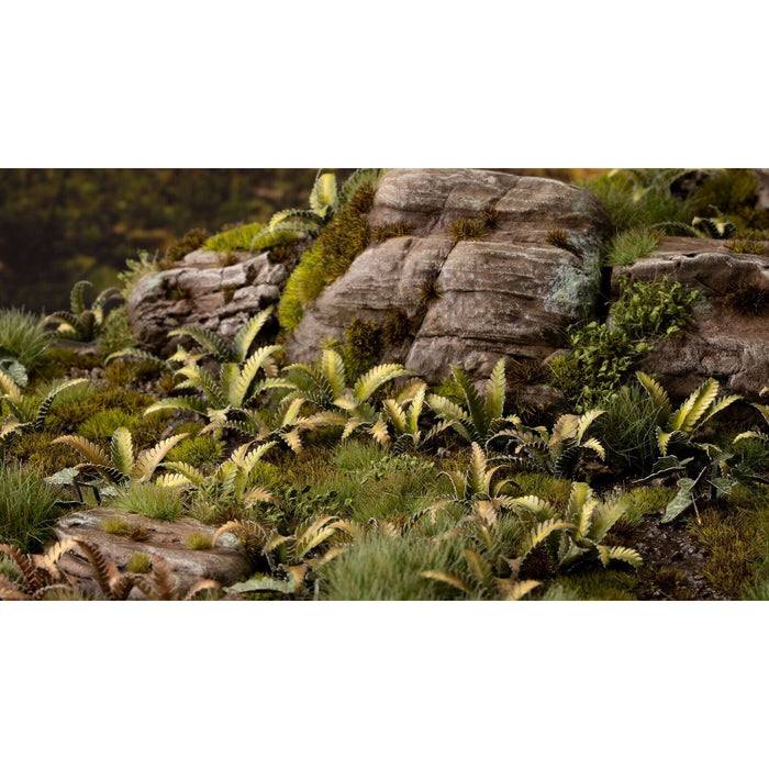 Gamers Grass Laser Plants - Deer Fern New - Tistaminis