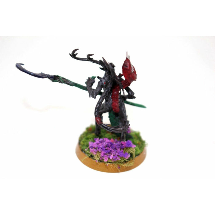 Warhammer Wood Elves Branchwych Well Painted - JYS30 - Tistaminis