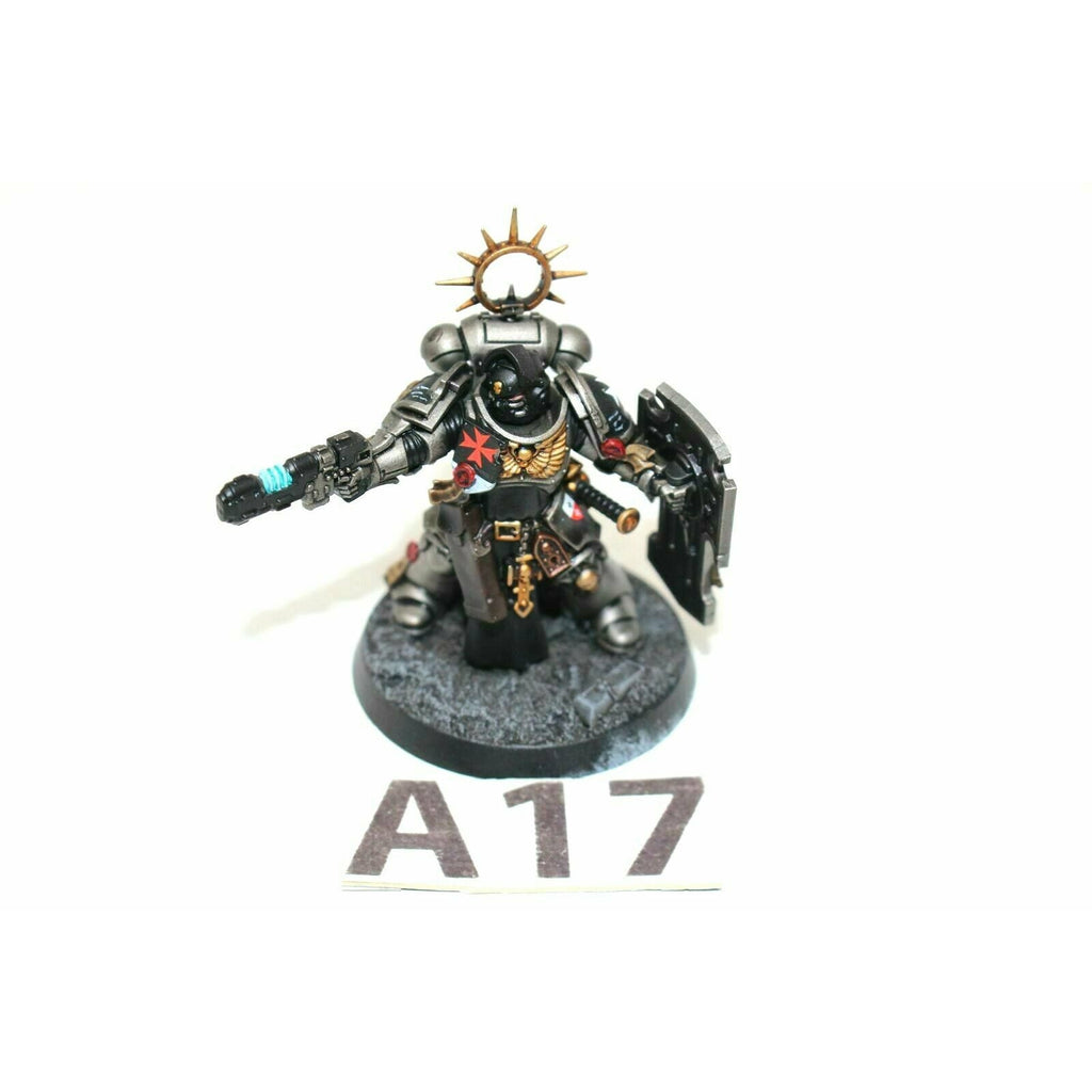 Warhammer Space Marines Bladeguard Ancient Well Painted A17 - Tistaminis