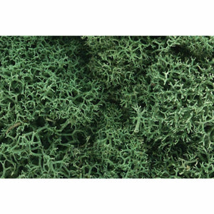 Woodland Scenics Lichen-Light Green WOO162 - TISTA MINIS