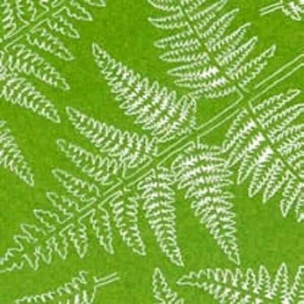 AK Interactive Bracken Fern New - TISTA MINIS