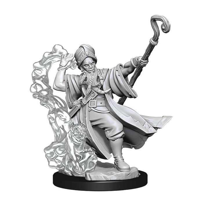 Dungeons and Dragons Frameworks: Human Wizard Male New - Tistaminis