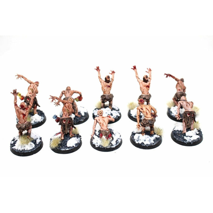 Warhammer Vampire Counts Zombies Well Painted - JYS14 - Tistaminis