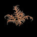 Gamers Grass	Laser Plants - Dry Bracken New - Tistaminis