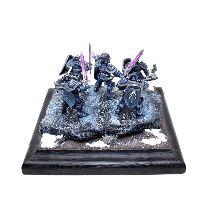 Warhammer Stormcast Eternals Liberators Well Painted - BG6 - Tistaminis