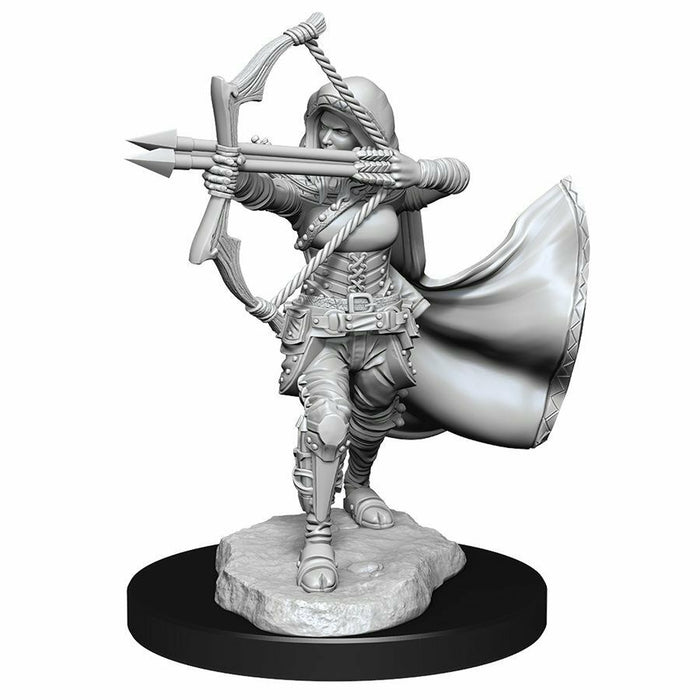 Dungeons and Dragons	Nolzur's Marvelous Miniatures: Wave 15: Air Genasi Female - Tistaminis