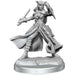 Dungeons and Dragons	Frameworks: Tiefling Rogue Female New - Tistaminis