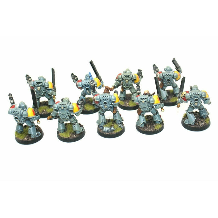 Warhammer Space Marines Space Wolves Tactical Squad Well Paitned A25 - Tistaminis