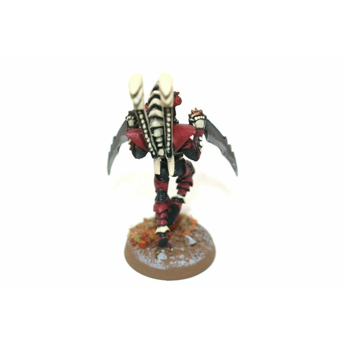 Warhammer Dark Eldar Drazhar Metal Well Painted JYS11 - Tistaminis