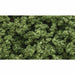 Woodland Scenics Bush Clump Foliage Light Green (18 Cu.In.) WOO145 - TISTA MINIS