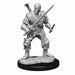 Dungeons and Dragons	Nolzur's Marvelous Miniatures: Wave 15: Human Bard Male - Tistaminis