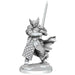 Dungeons and Dragons	Frameworks: Dragonborn Paladin Male New - Tistaminis