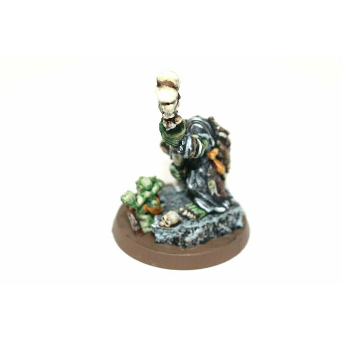 Warhammer Orcs And Goblins Orc Shaman Well Painted Metal JYS6 - Tistaminis