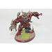 Warhammer Warriros Of Chaos Khorgorath Well Painted - F2 | TISTAMINIS