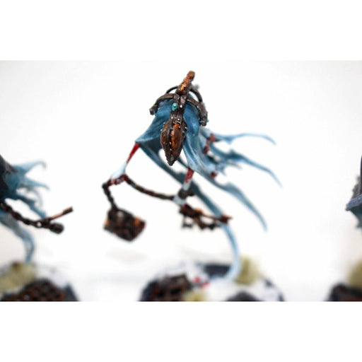 Warhammer Vampire Counts Crawlocke the Jailor Well Painted - Blue1 - Tistaminis