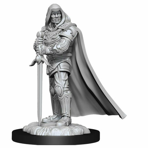 D&D Nolzur's Marvelous Unpainted Miniatures: Wave 13: Human Paladin Male New - TISTA MINIS