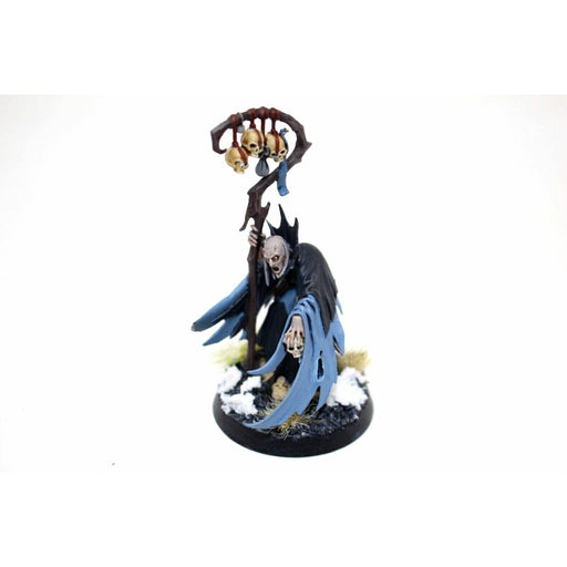 Warhammer Vampire Counts Necromancer Well Painted - Blue1 - Tistaminis