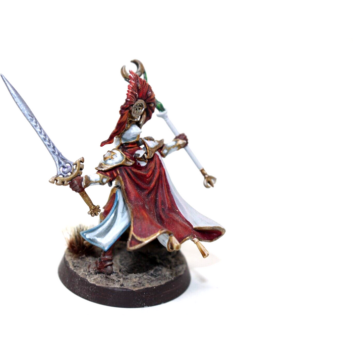 Warhammer High Elves Light of Eltharion Well Painted - A22 - Tistaminis