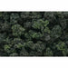 Woodland Scenics Bush Clump Foliage Forest Blend (18 Cu.In.) WOO149 - TISTA MINIS