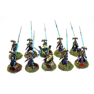 Warhammer High Elves Auralan Wardens Well Painted - JYS52 - Tistaminis