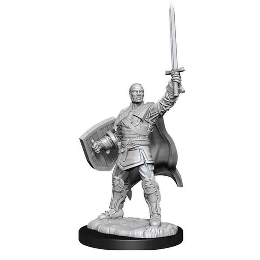 D&D Nolzur's Marvelous Unpainted Miniatures: Wave 13: Human Paladin Male New - TISTA MINIS