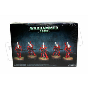 Warhammer Eldar Wraithguard New - TISTA MINIS