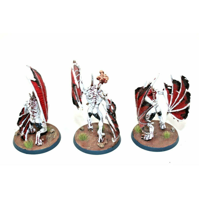 Warhammer Vampire Counts Crypt Infernal Courtier Well Painted - JYS30 - TISTA MINIS