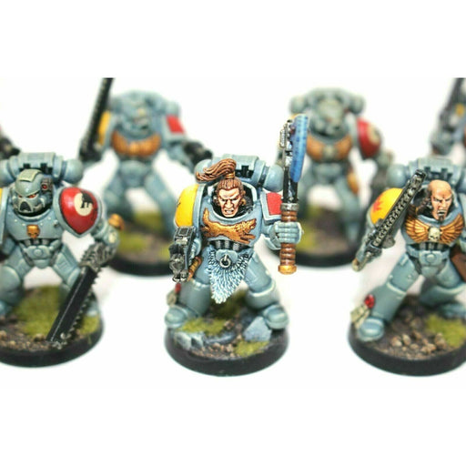 Warhammer Space Marines Space Wolves Tactical Squad Well Paitned A25 - Tistaminis