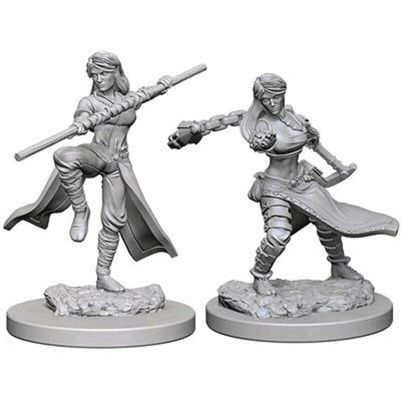 Dungeons and Dragons Nolzurs Marvelous  Wave 1: Human Female Monk New - TISTA MINIS